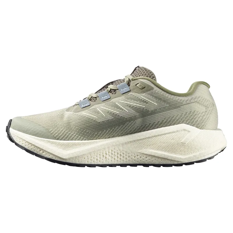 Salomon Aero Blaze 3 GRVL Men's Gravel Running Shoes - Tea/Vanilla Ice-1